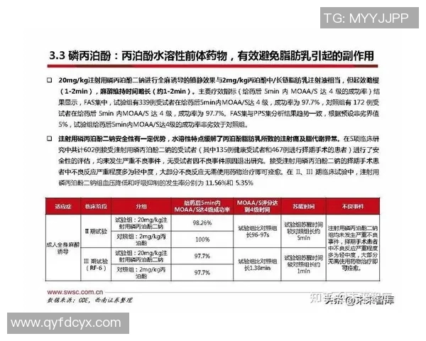 重磅专题：探索杭州篮球队在战术与管理上的全面创新与转型之路