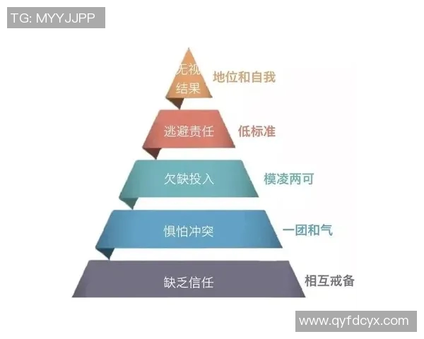 深圳篮球队在杯赛中的团队协作表现分析与反思