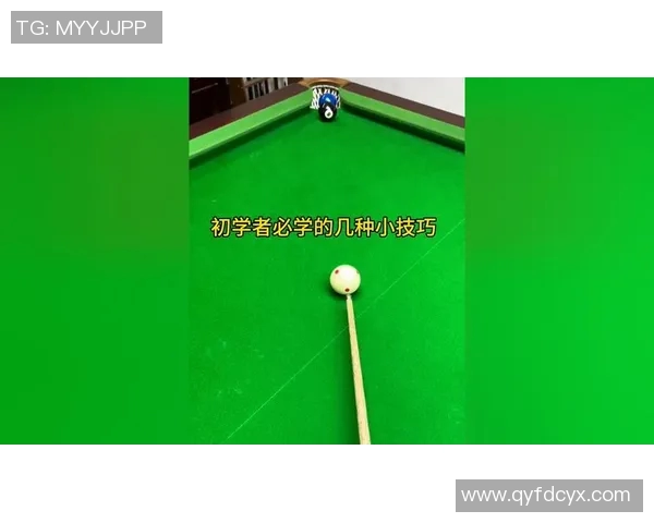 从零起步掌握乒乓球节奏技巧全解析助你快速提升球技